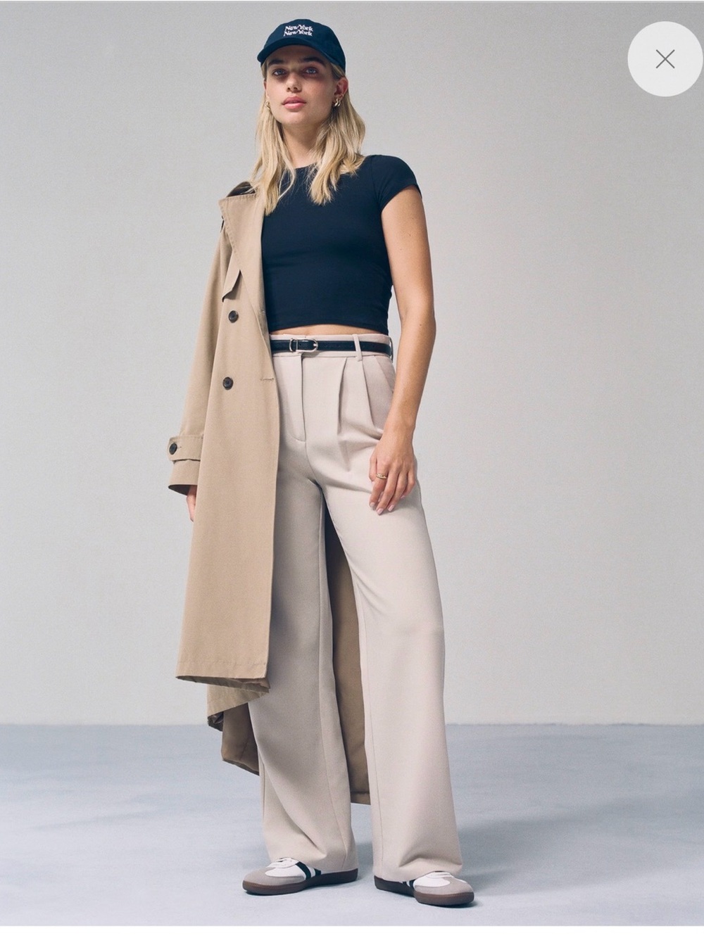 A&F Sloane Tailored Wide Leg Pant in Light Taupe